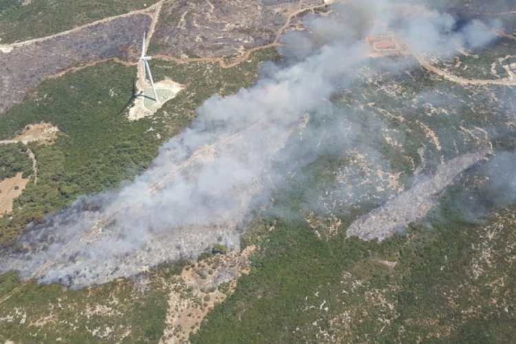 İzmir'de makilik alandaki yangın kontrol altında