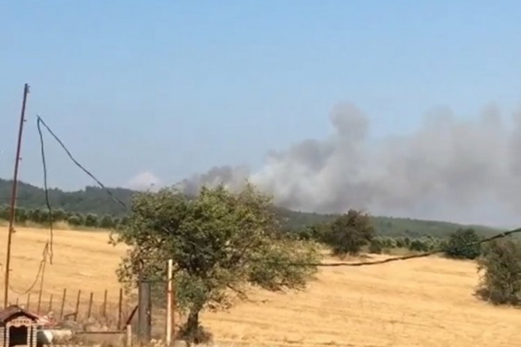 Bursa'da b&uuml;y&uuml;k yangın!