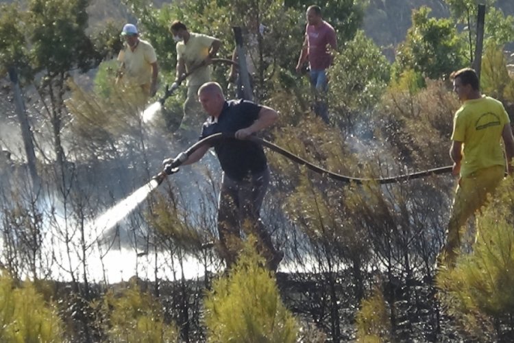 Gen&ccedil;leştirme sahasında orman yangını
