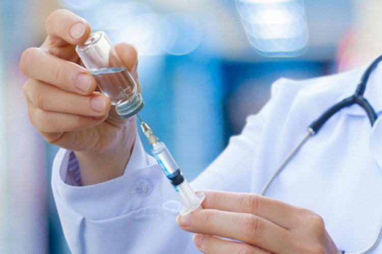 &Ccedil;in'de b&ouml;cek h&uuml;crelerinden Kovid-19 aşısı geliştirildi