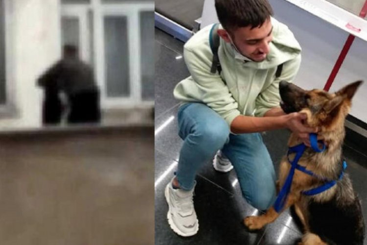 Sopayla d&ouml;v&uuml;len 'Pongo'yu İtalyan aile sahiplendi!