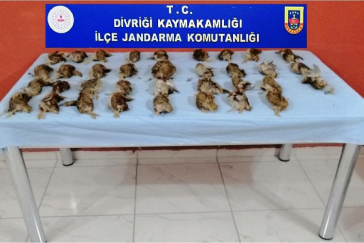 Ava giderken avlandı! 23 bin TL para cezası...