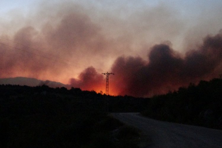 Kozan'da 200 hektardan fazla orman alanı k&uuml;l oldu