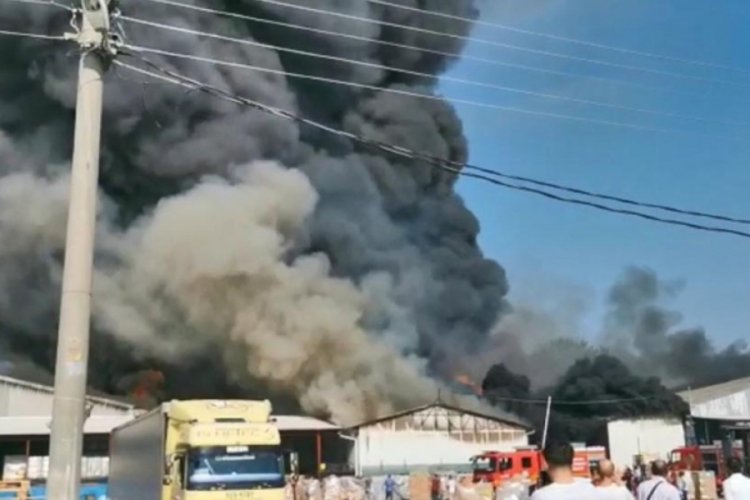 Sakarya'da s&uuml;permarketin deposunda yangın