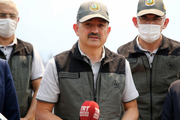 Bakan Pakdemirli'den Kozan'daki yangınla ilgili a&ccedil;ıklama