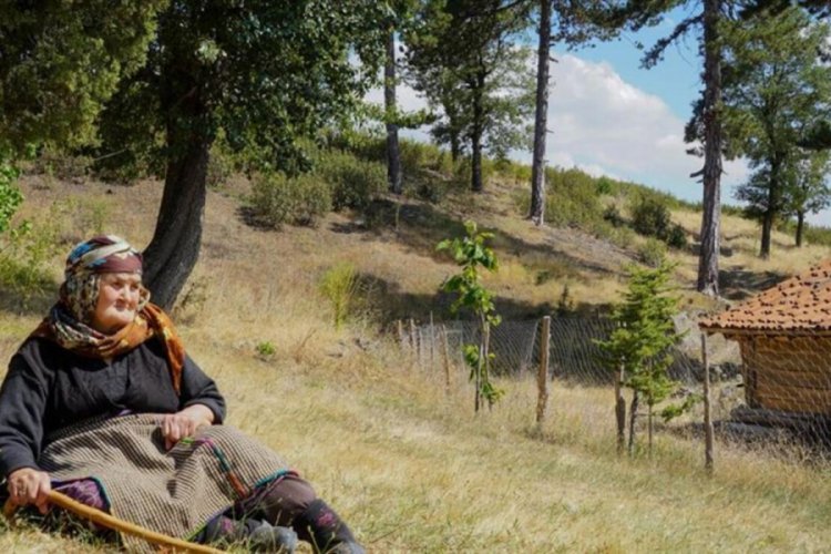 Firdevs ninenin g&ouml;zyaşı d&ouml;kt&uuml;ğ&uuml; yanmış ağa&ccedil;ların yerinde fidanlar yeşeriyor