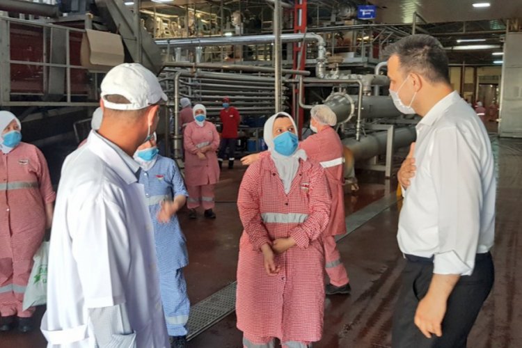 T&uuml;rk Şeker'in domatesine Bursalı &ccedil;ift&ccedil;ilerden yoğun ilgi