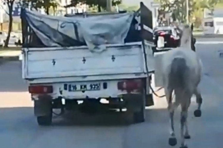 Bursa polisi affetmedi! Tepki &ccedil;eken b&uuml;y&uuml;k vicdansızlık cezasız kalmadı (&Ouml;ZEL HABER)