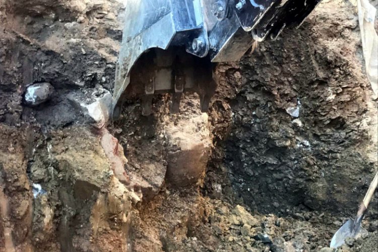 Hafriyat &ccedil;alışmasında bulunan k&uuml;p heyecan yarattı