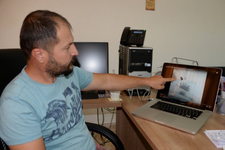 'G&uuml;neydoğu'da g&ouml;r&uuml;nt&uuml;lenen pars, İran Pars'ı olabilir'