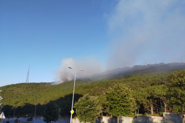İstanbul'da ormanlık alanda yangın