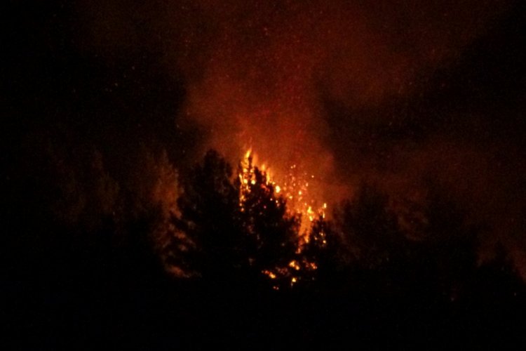 Uşak'ta &ccedil;ıkan orman yangını paniğe neden oldu