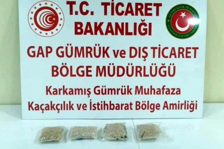 Sınır kapısında 3 bin 700 hap ge&ccedil;irildi