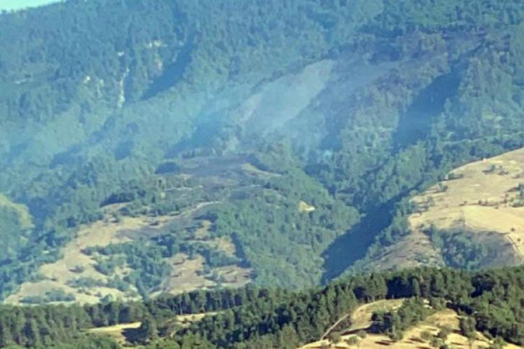Zonguldak'ta ormanlık alanda &ccedil;ıkan yangın kontrol altına alındı