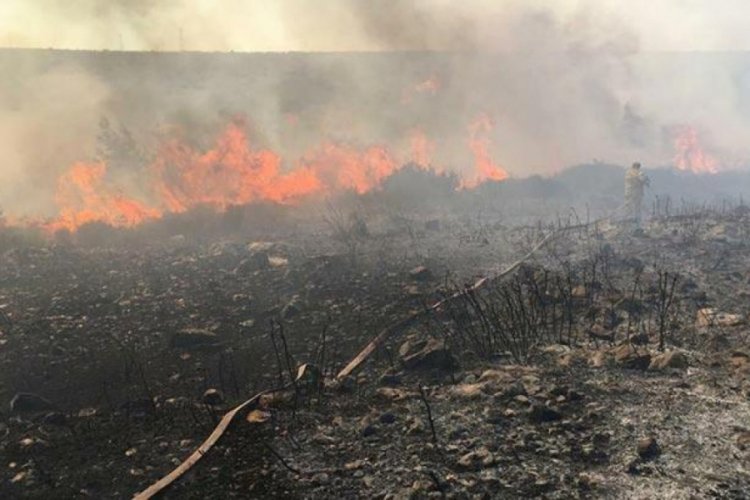 Makilik alanda başlayan yangın, yazlık evlere 100 metre kala s&ouml;nd&uuml;r&uuml;ld&uuml;!