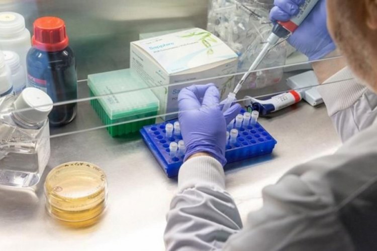 DS&Ouml;'den yeni araştırma: Steroid ila&ccedil;ları Covid-19'dan &ouml;l&uuml;m riskini azaltıyor