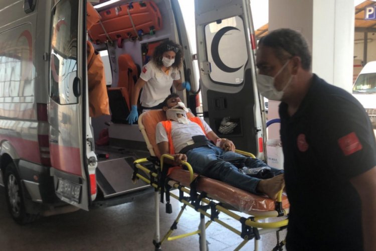 Bursa'da otomobil ağaca &ccedil;arptı: 2 yaralı