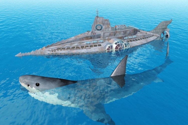 Megalodon k&ouml;pekbalığının ger&ccedil;ek boyutları ilk kez ortaya &ccedil;ıkarıldı