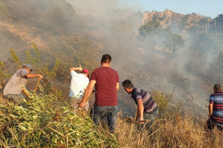 Aydın'da zeytin ve incir ağa&ccedil;larının bulunduğu alanda yangın &ccedil;ıktı