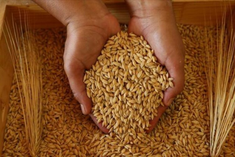 Buğday ve arpa satış fiyatlarını belirlendi