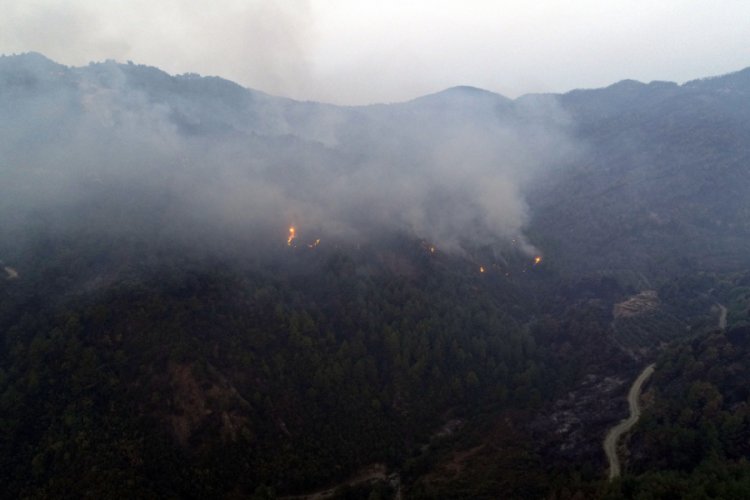 Antakya'da orman yangınına m&uuml;dahale devam ediyor