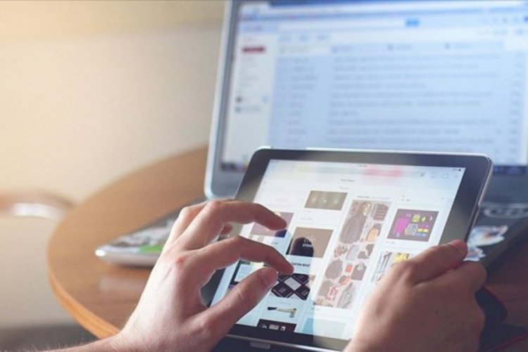 Her 45 internet araması bir ağacın yetişmesine katkı sağlıyor