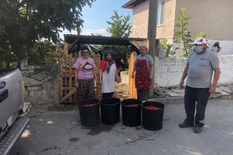 Bursa Gemlik Te Kadin Girisimcilere Kislik Urun Destegi Bursada Bugun Bursa Bursa Haber Bursa Haberi Bursa Haberleri Bursa