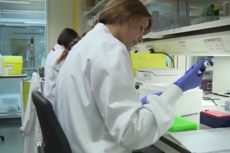 Koronavir&uuml;s aşı sonu&ccedil;ları yıl sonunda ortaya &ccedil;ıkacak