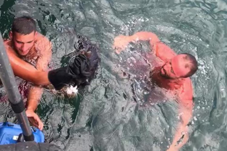 Bursa'da denize d&uuml;şen kediyi cankurtaran &ccedil;ıkardı