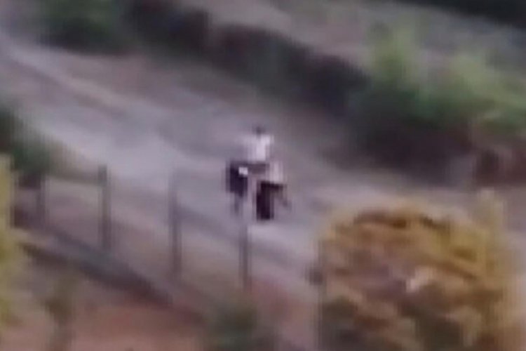 Sokak k&ouml;peklerini besleyen kadını baba-kız darp etti