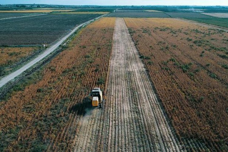 Tarımsal girdi fiyatları Temmuz'da y&uuml;zde 0.61 arttı