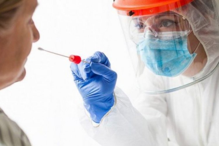 D&uuml;nya genelinde Kovid-19 tespit edilen kişi sayısı 31 milyon 243 bin 22 oldu