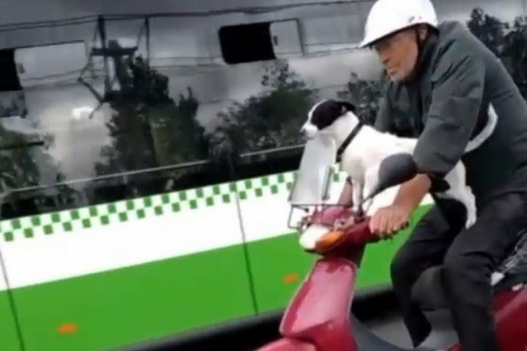 Bursa'da motosikletli k&ouml;pek kamerada