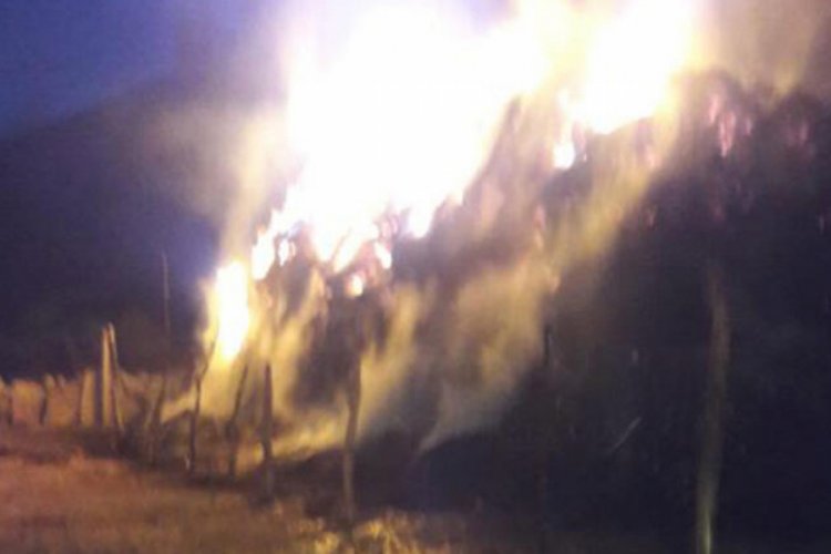 50 ton ot ve saman k&uuml;l oldu