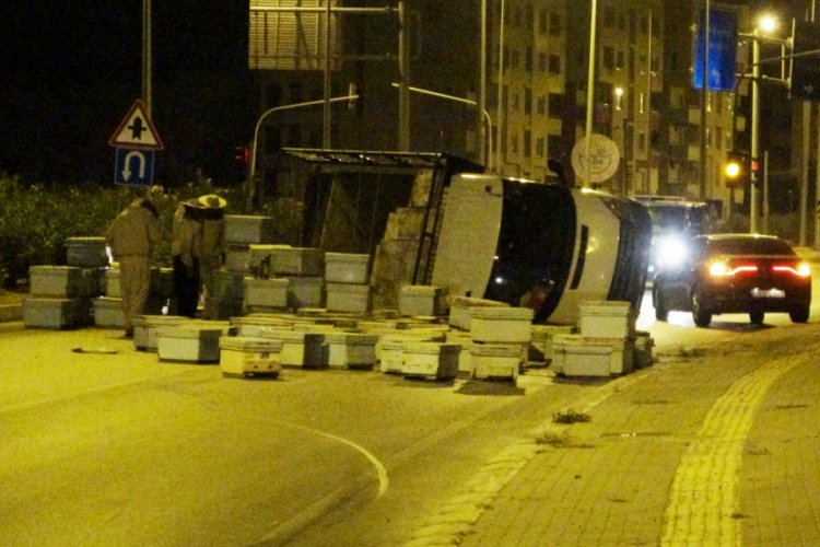 Kovanlar ve kızgın arılar yolu trafiğe kapadı
