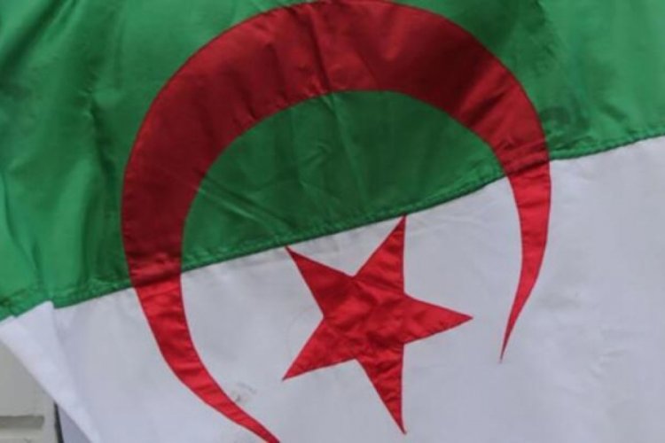 Cezayir'den Fransız medyasına "belgesel" tepkisi