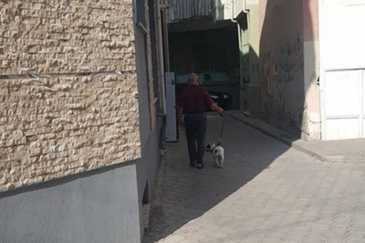 K&ouml;peğini gezdirmek i&ccedil;in karantinayı ihlal eden kişiyi komşuları ihbar etti