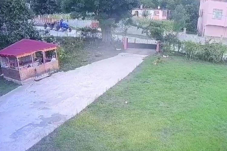 Arı sokan trakt&ouml;r s&uuml;r&uuml;c&uuml;s&uuml; kazada &ouml;ld&uuml;