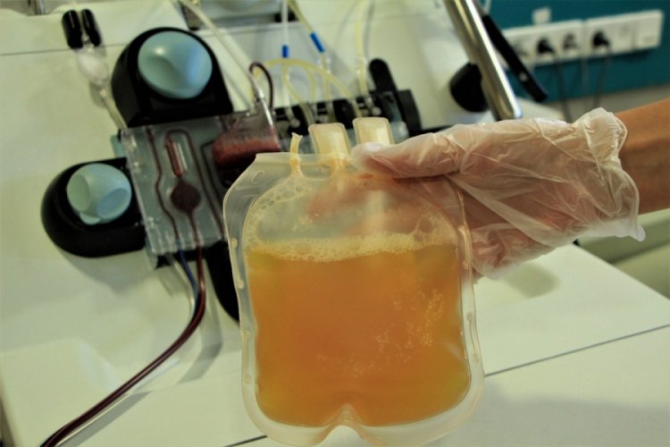 Doktor koronavir&uuml;s ge&ccedil;irenlere seslendi: Yalvarıyorum bağış&ccedil;ı olun