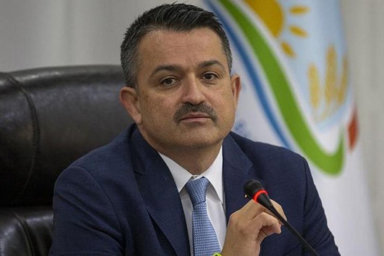 Yerel bitkilere ait 115 bin tohum bakanlık korumasında