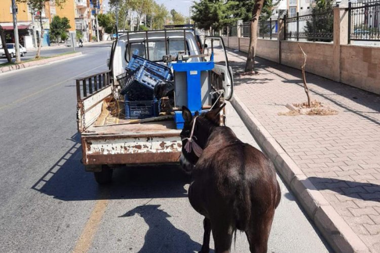 Eşeği aracına bağlayarak g&ouml;t&uuml;ren s&uuml;r&uuml;c&uuml;ye para cezası