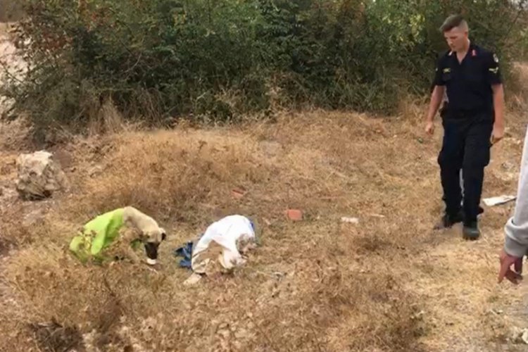 K&ouml;peği &ccedil;uvala koyup &ouml;l&uuml;me terk ettiler
