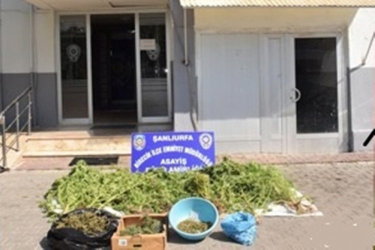 Şanlıurfa'da uyuşturucu operasyonu