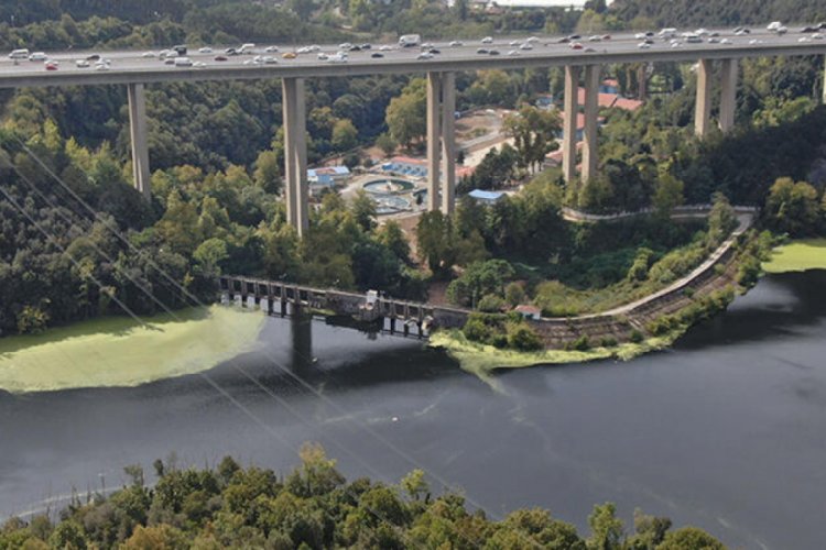 İstanbul'da Elmalı Barajı yine yeşile b&uuml;r&uuml;nd&uuml;