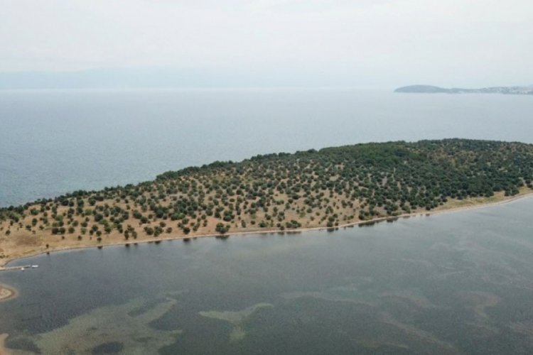 H&uuml;lya Avşar'ın ada satın alacağı yalanlandı