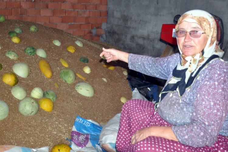 Tekirdağ'ın 'hırsız almaz' kavunlarına yoğun talep