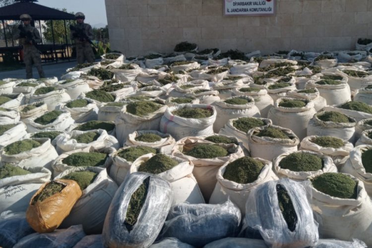 Diyarbakır'da 97 milyon k&ouml;k kenevir ve 42 ton esrar ele ge&ccedil;irildi