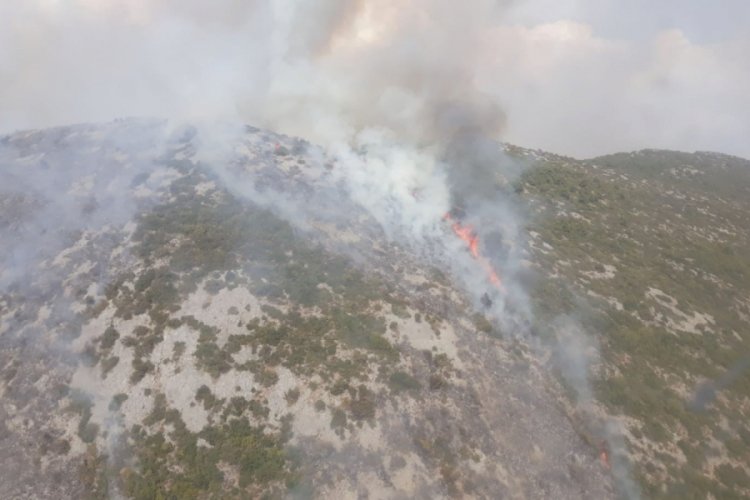 Antalya'da orman yangınında 6 hektarlık alan zarar gördü