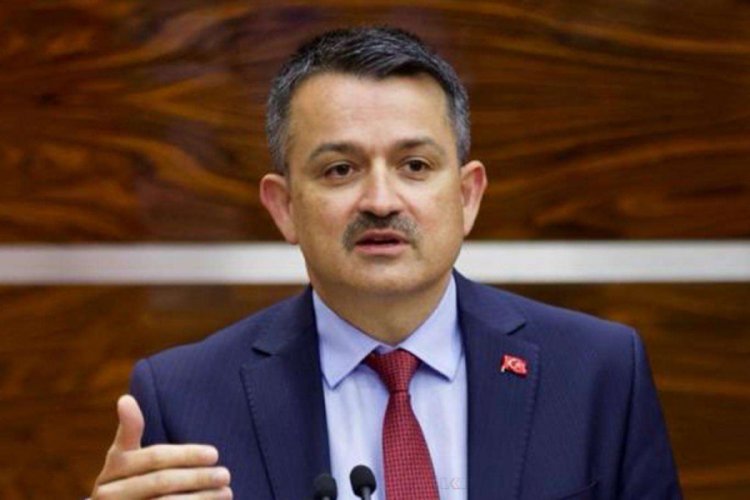 Bakan Pakdemirli'den Hatay'daki orman yangınına ilişkin a&ccedil;ıklama
