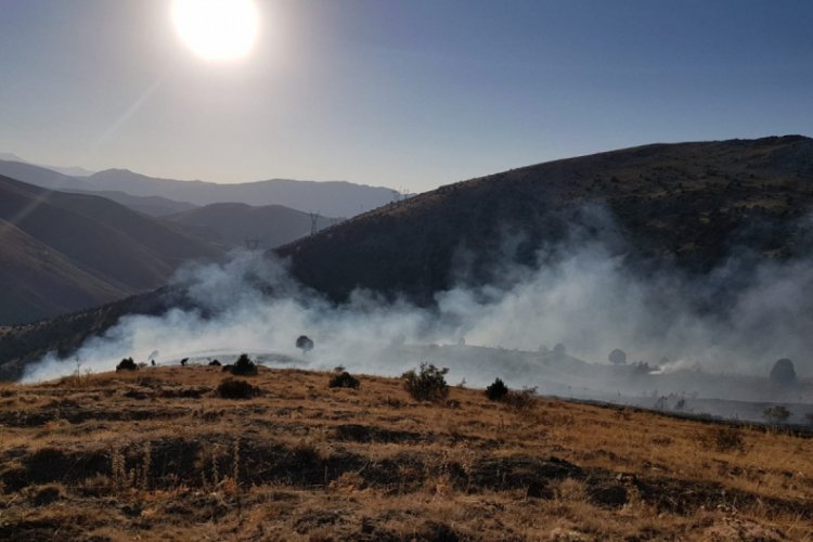 Kayseri'de orman yangını